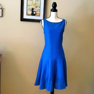 Gorgeous Cobalt Blue lace Dress (EASTER!!!)